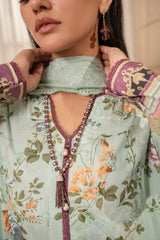 D729 - Collection Embroidered