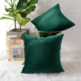 Pack of 2 Velvet Plain Decorative Cushions - Aura Living