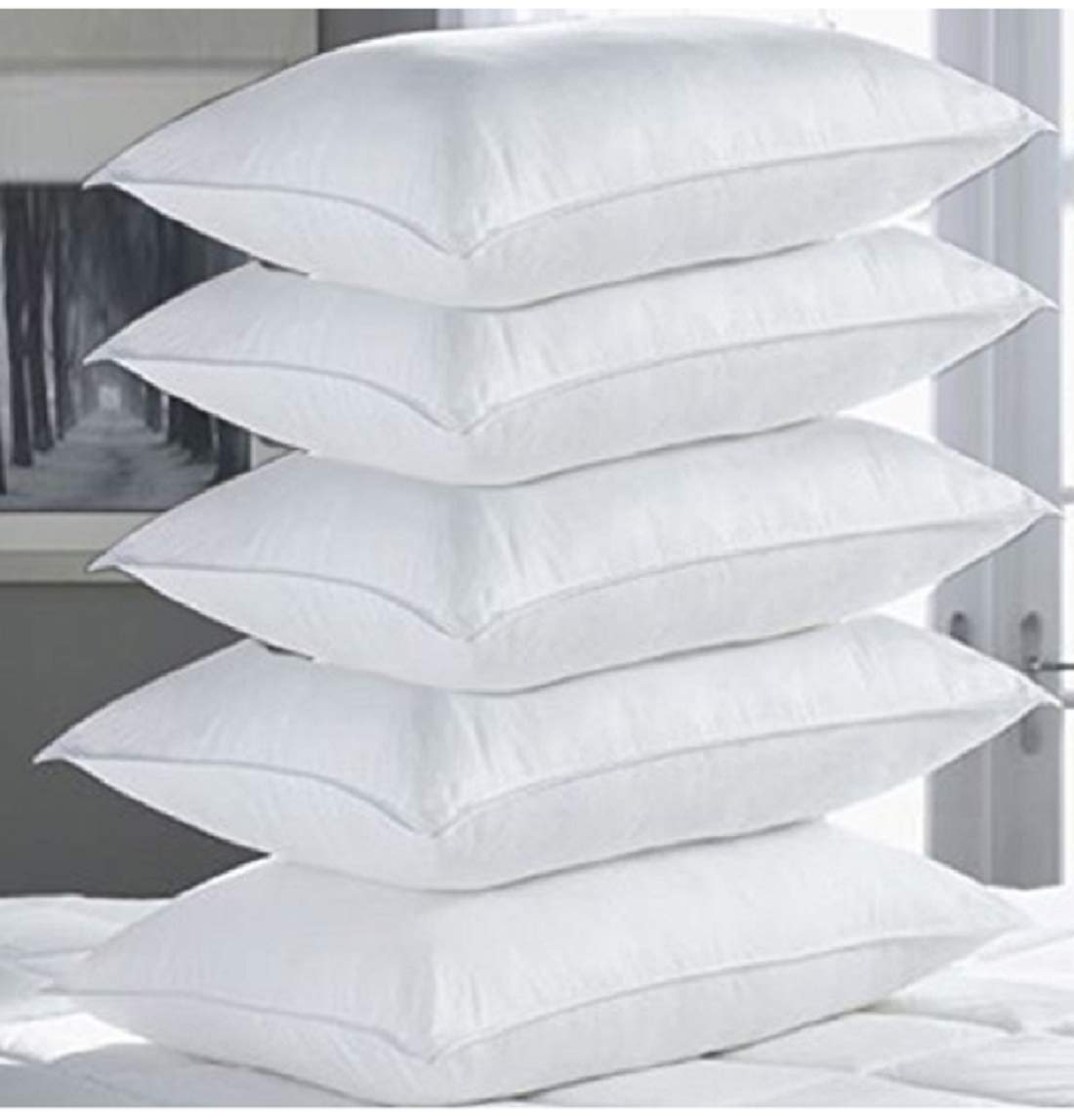 Filled Pillow Pack of 6 (19x29 inch) - Aura Living
