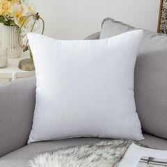 Filled Cushion-1 PC (18x18 inch) - Aura Living