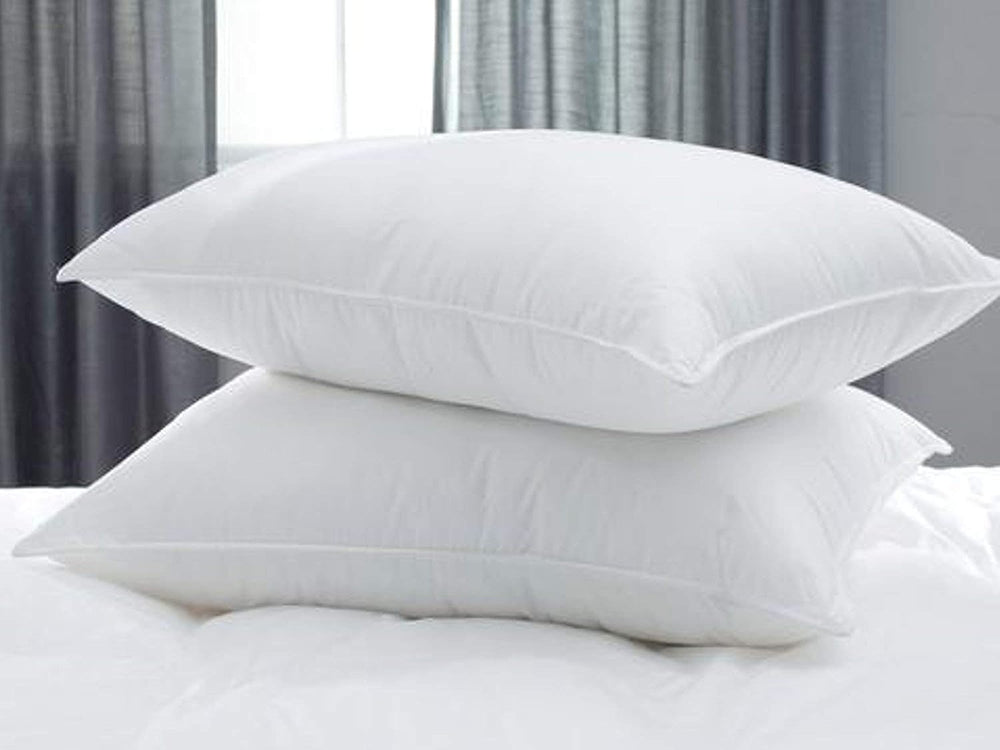 Filled Pillow Pack of 2 (19x29 inch) - Aura Living