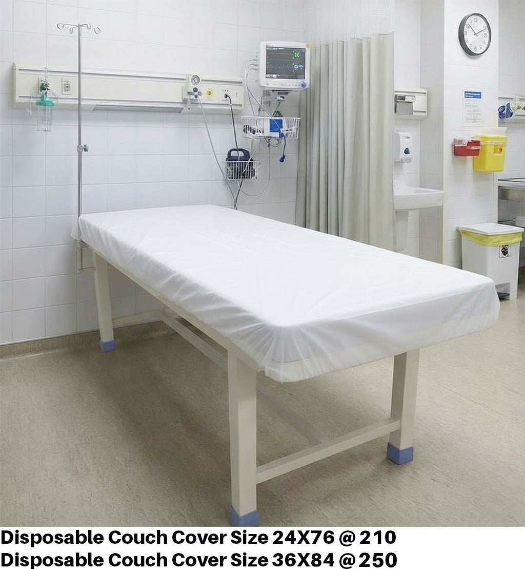Disposable Couch Cover