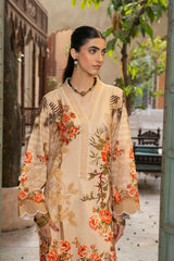 Desert Rose - D172