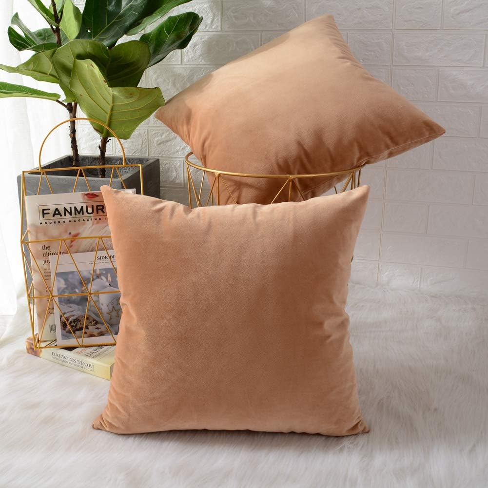 Pack of 2 Velvet Plain Decorative Cushions - Aura living