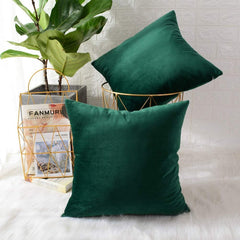 Pack of 2 Velvet Plain Decorative Cushions - Aura living