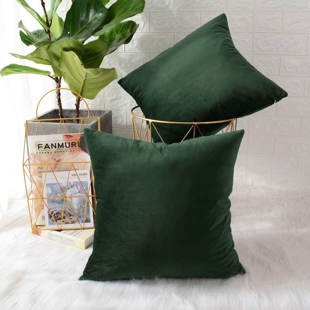 Pack of 2 Velvet Plain Decorative Cushions - Aura Living