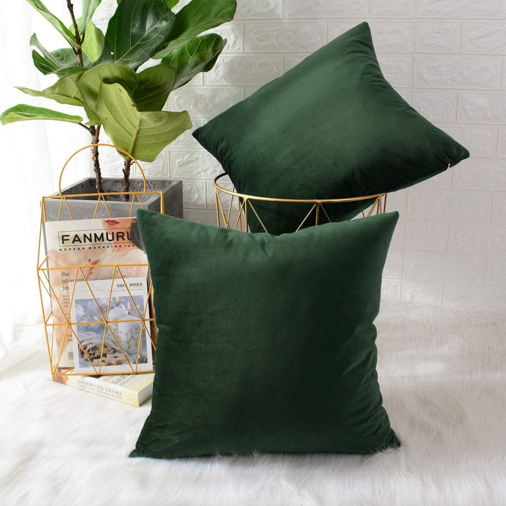 Pack of 2 Velvet Plain Decorative Cushions - Aura Living