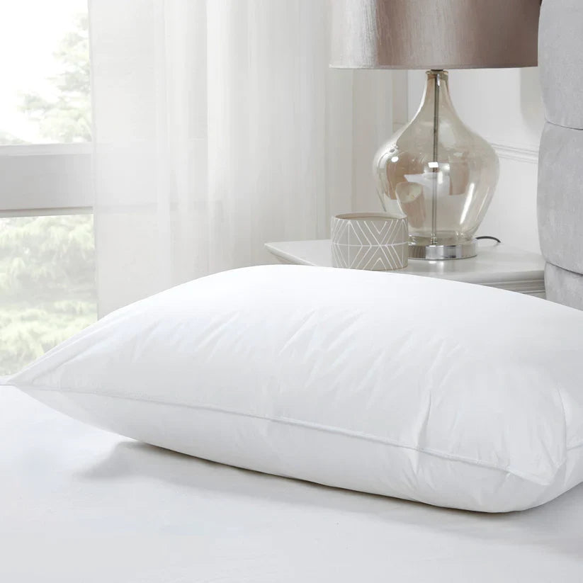 Filled Pillow 1 Pc (19x29 inch) - Aura Living