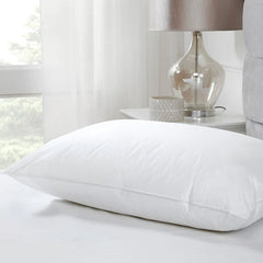 Filled Pillow 1 Pc (19x29 inch) - Aura Living