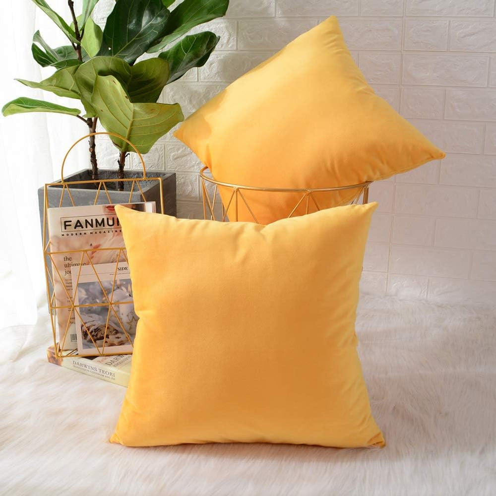Pack of 2 Velvet Plain Decorative Cushions - Aura Living
