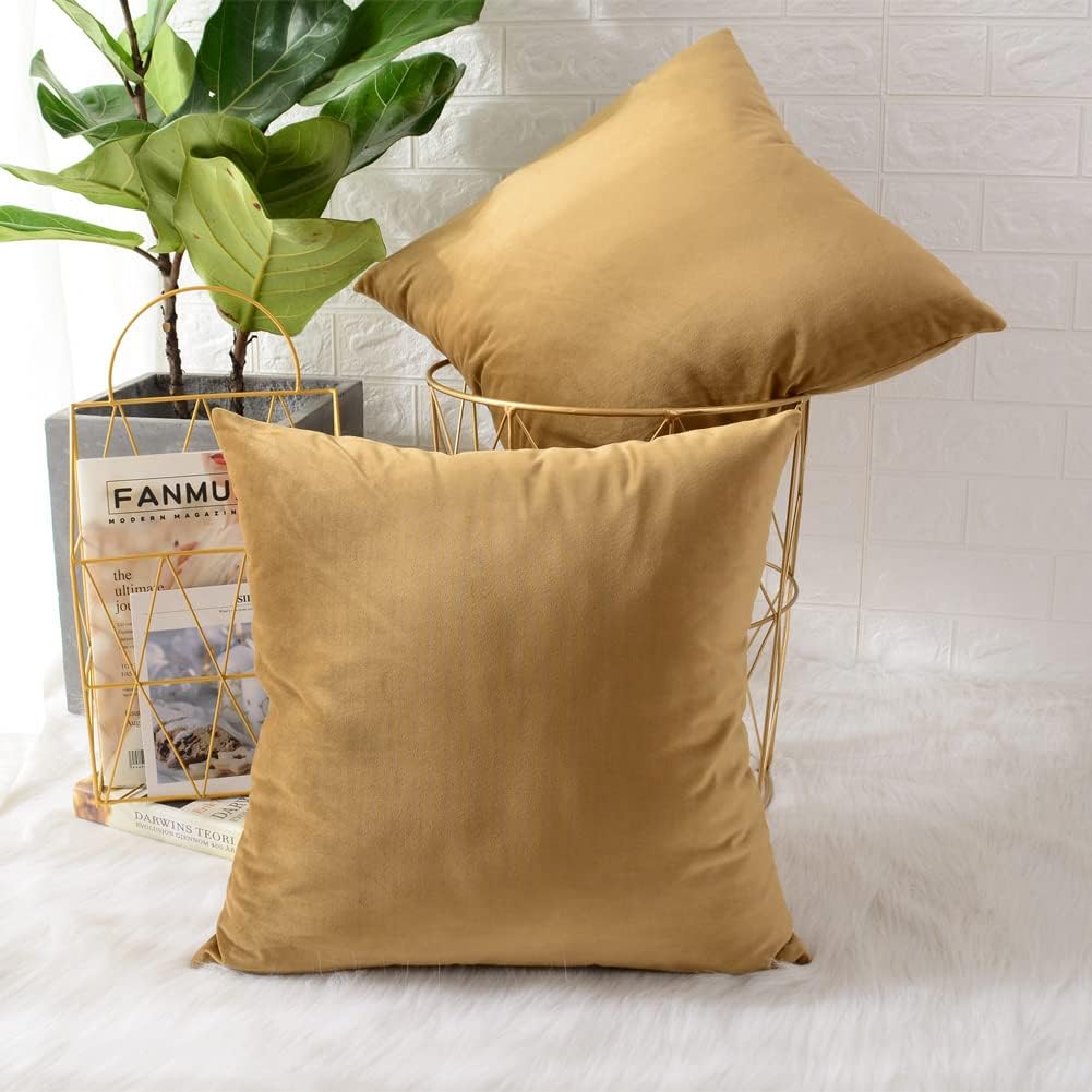 Pack of 2 Velvet Plain Decorative Cushions - Aura living