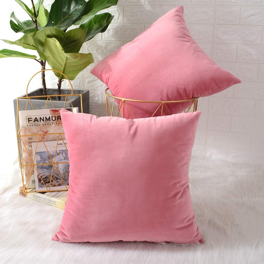 Pack of 2 Velvet Plain Decorative Cushions - Aura living