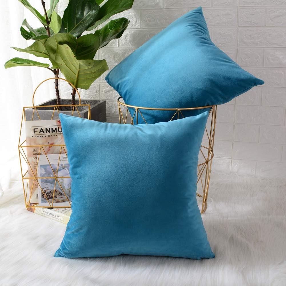 Pack of 2 Velvet Plain Decorative Cushions - Aura living