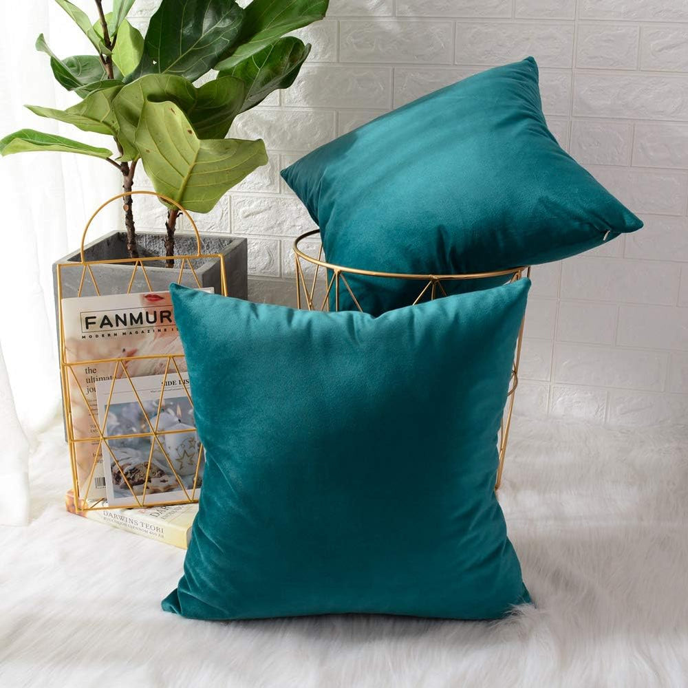 Pack of 2 Velvet Plain Decorative Cushions - Aura living