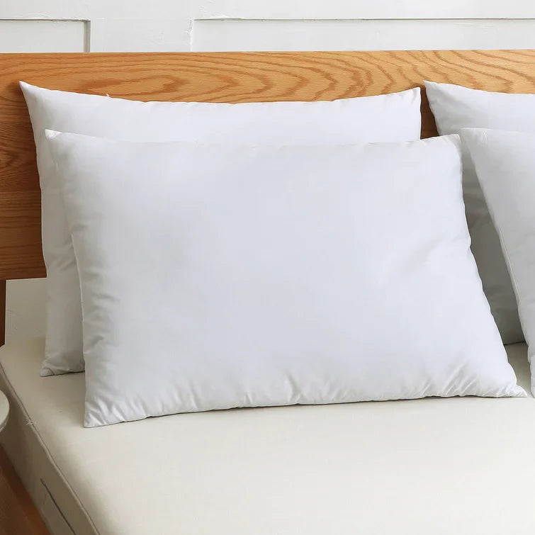 Filled Pillow Pack of 2 (19x29 inch) - Aura Living