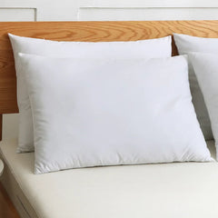 Filled Pillow Pack of 2 (19x29 inch) - Aura Living
