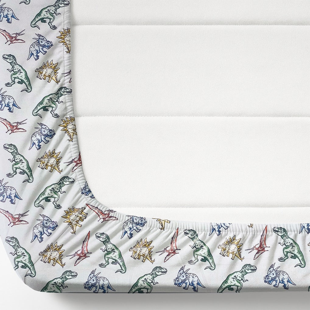 The Dino Printed Kids Fitted Sheet set