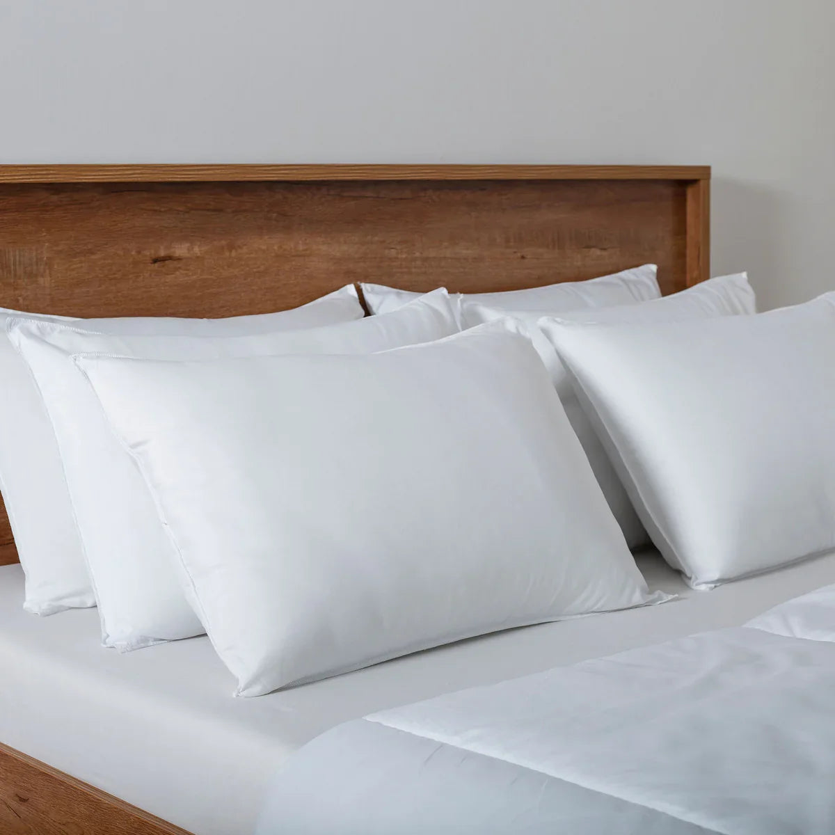 Filled Pillow Pack of 6 (19x29 inch) - Aura Living